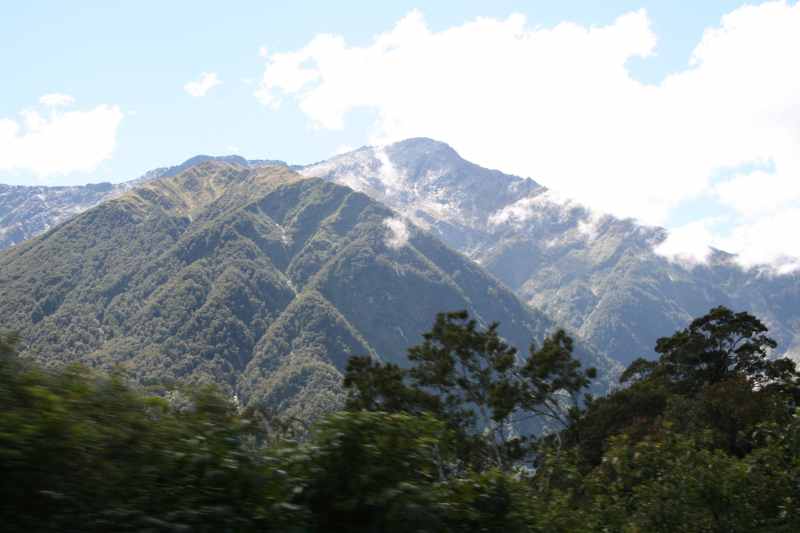 Nieuw-Zeeland 2011 - 1559